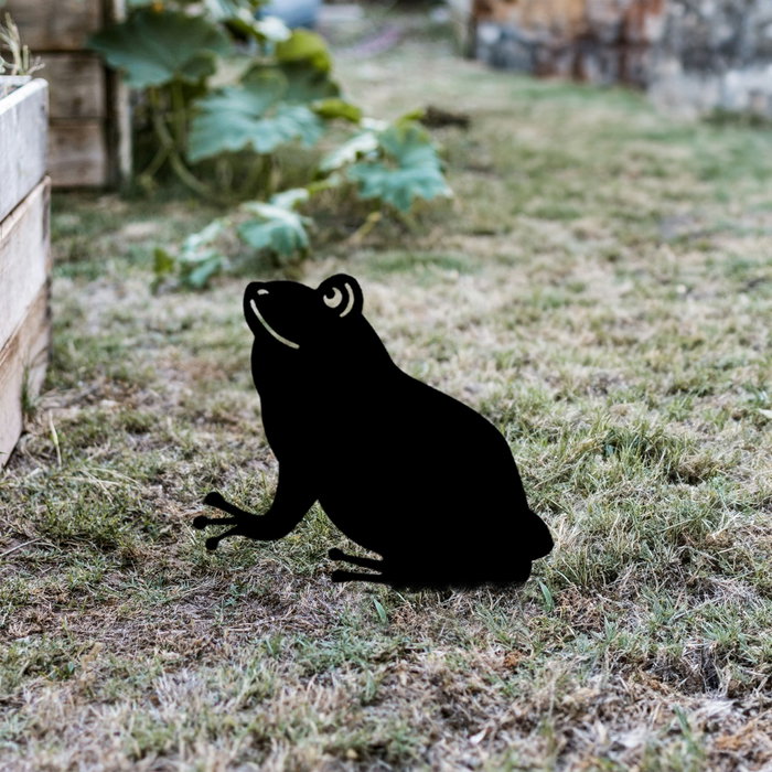 Aberto Design Frog 01 Negro